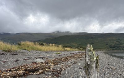 Wenn Kopf, Bauch und Herz nicht mehr synchron sind