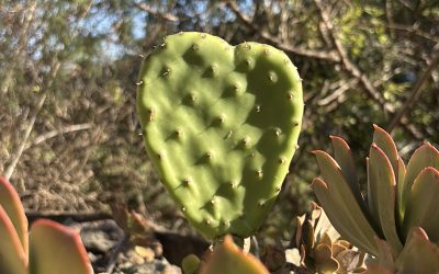 Grenzen setzen – und halten – beginnt nicht im Kopf