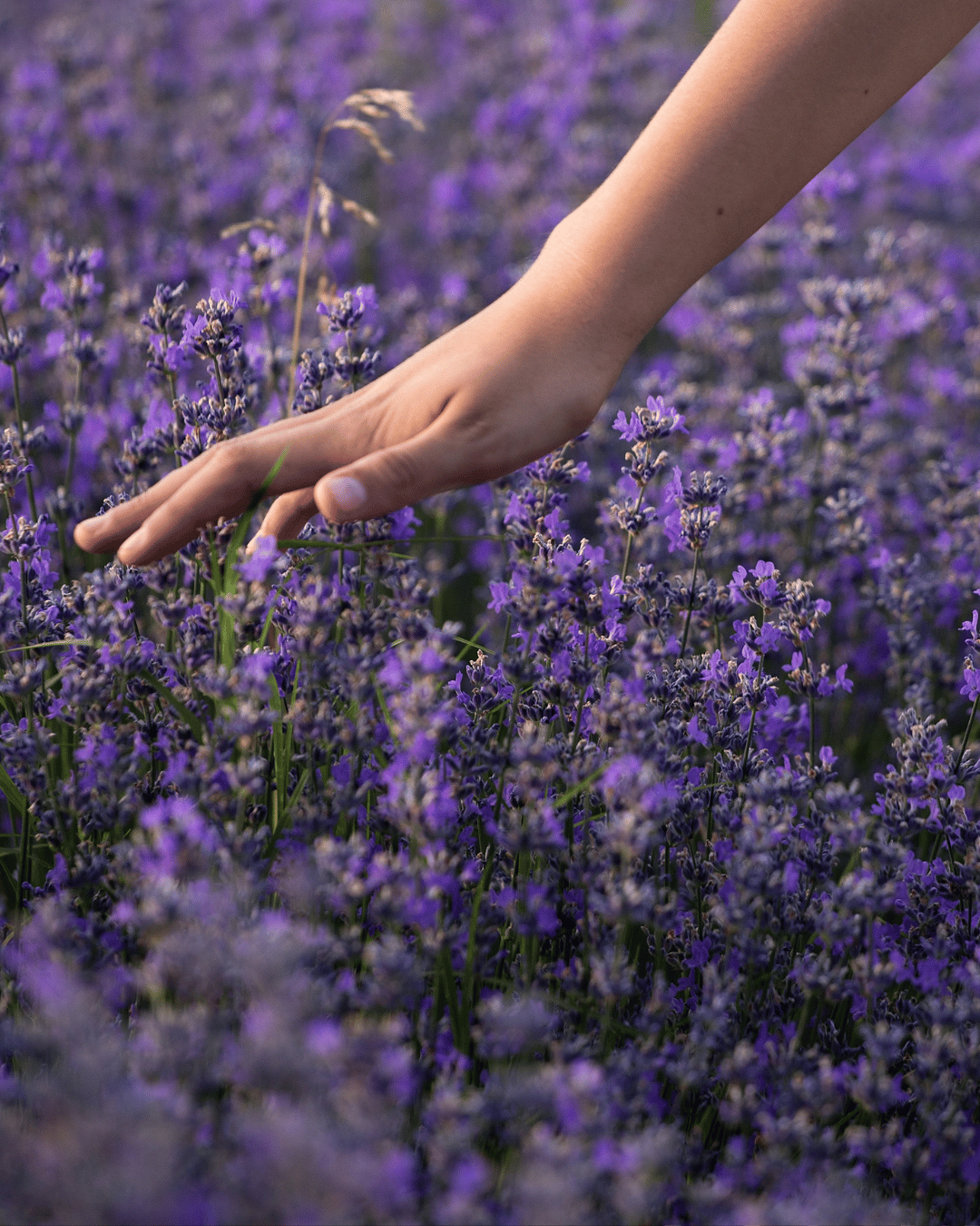 Breathwork & Yin Yoga