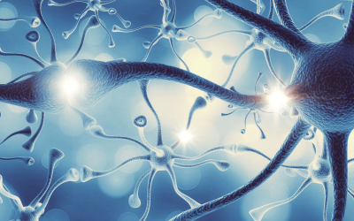 Functional Breathwork: Wie dein Atem Stress, Fokus und Nervensystem beeinflusst